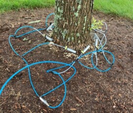 Invasive Weed Control Lyndborough NH