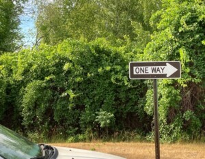 Landscape Weed & Pest Solutions LLC NH